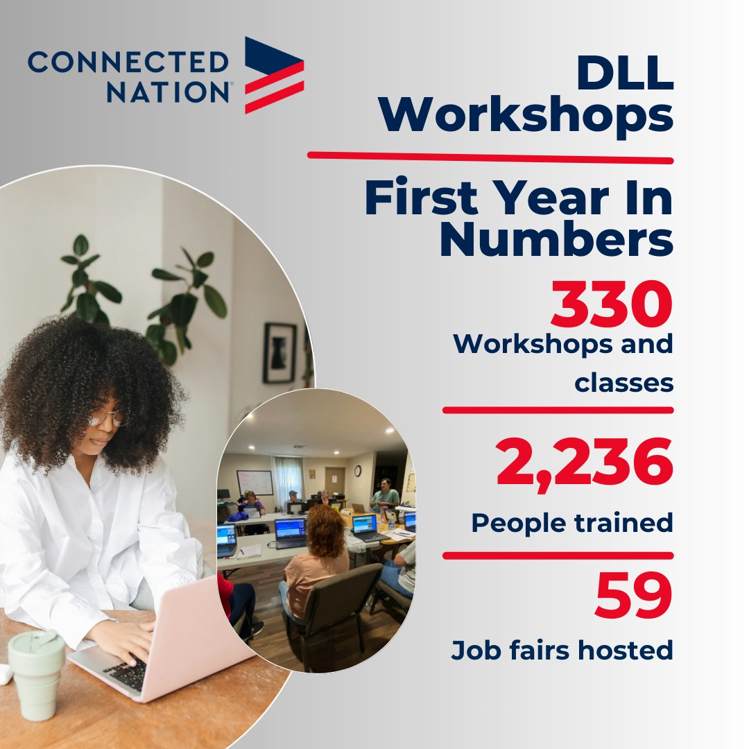 Dll First Year Stats Graphic